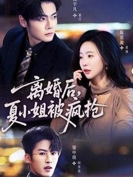 离婚后，夏小姐被疯抢(全集)