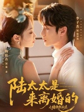 陆太太是来离婚的之慵便枕玉凉(全集)