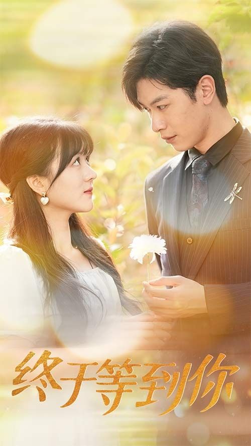 终于等到你（你是我的木槿年华）第21-40集