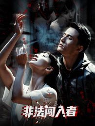 非法闯入者(全集)