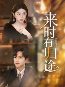 来时有归途第41-60集